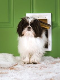 PetSafe Extreme Weather Plastic Frame Dog & Cat Door (Option: Small  PPA0010984)