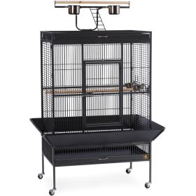 Select Wrought Iron Play Top Parrot Cage (Option: Chalk White)