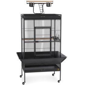 Large Select Wrought Iron Play Top Bird Cage (Option: Chalk White)